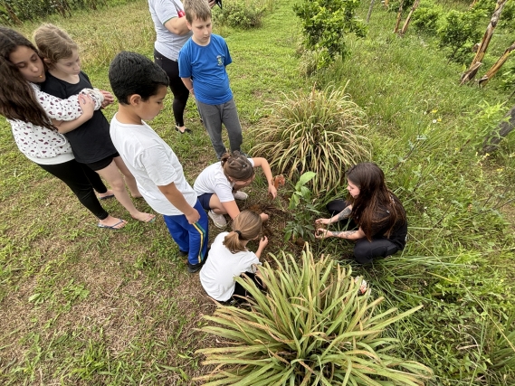 CESAP promove ações de educação ambiental em celebração ao Dia da Árvore